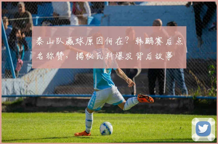 泰山队赢球原因何在？韩鹏赛后点名称赞，揭秘瓦科爆发背后故事